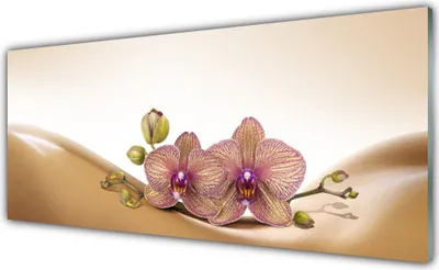 Produktbild von Glasbilder 125x50 Wandbild Druck auf Glas Baume Pflanzen