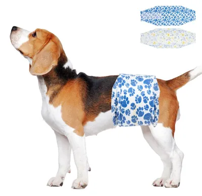 Imagen del producto de Solidchoice: Pañales desechables para perros machos, de alta absorción y sin fugas