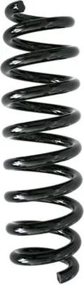Image de Kit de ressorts de suspension pour essieu arrière, ressorts hélicoïdaux Ø 99 mm SPIDAN, pour BMW Série 1, entre autres