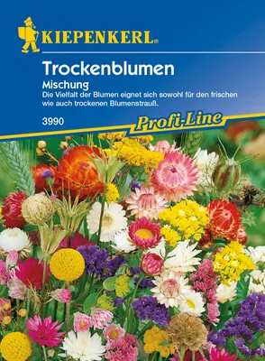Produktbild von [STREICHUNG 2022] Trockenblumen Mischung | Blumensamenmischung von Kiepenkerl