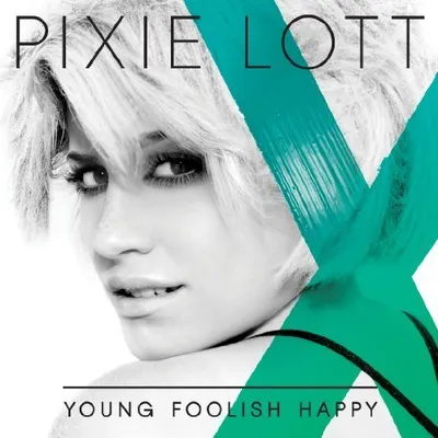 Produktbild von Young Foolish Happy