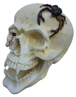 Produktbild von Schädel Kopf Skorpion Figur Statue Skulptur 44 cm Figuren Statuen Skulpturen N87
