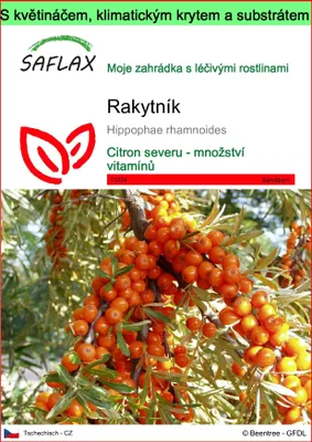 Obrázek produktu pro SAFLAX Garden to go - rakytník - Hippophae rhamnoides - 40 Semena - S květináčem, klimatickou poklicí a pěstebním substrátem