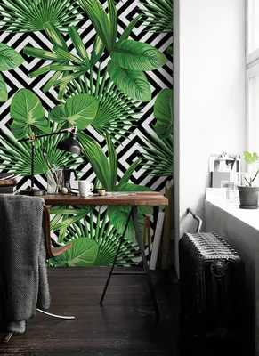 Produktbild von Coloray Fototapete 250x104 cm An Einer Wand Latex Latextapete - Palm verlässt geometrisch.