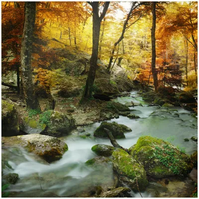 Produktbild von Wallario Memoboard Magnettafel aus Glas, Größe 50 x 50 cm, Motiv Wasserfall mit moosbedeckten Steinen im Herbstwald