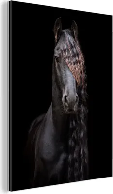 Obrázok produktu pre Nástenná dekorácia Kovový kovový obraz Wall Art 90x120cm Kone - Frízsky - Hriva - Čierna - Zvieratá Muchowow Hliníkové obrazy