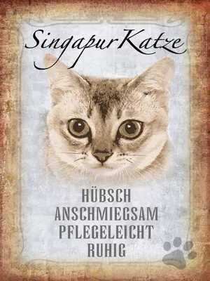 Produktbild von vianmo Holzschild 40x30 cm Singapur Katze