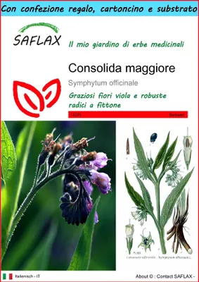 Immagine prodotto di SAFLAX Set regalo - Consolida maggiore - 15 semi - Symphytum