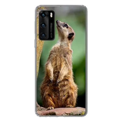 Produktbild von MuchoWow® Handyhülle Schutzhülle Hülle für Huawei P40 Erdmännchen - Tier - Rock Silikon Softcase Handy Hülle - Handytasche