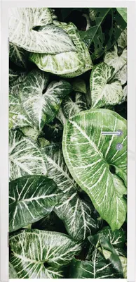 Obrázek produktu pro MuchoWow® Plakát na dveře - Listy - Příroda - Rostlina - 215x85 cm - Samolepicí fólie na dveře