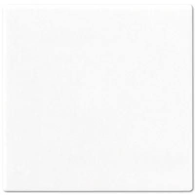 Produktbild von Jung CD594-0PLWW Blind-Abdeckung o. Tragring