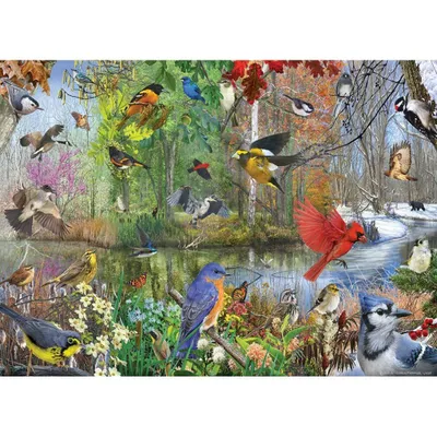 Produktbild von Cobble Hill Birds of the Season, 1000 Stück(e)