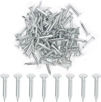 Productafbeelding van Dakbedekking Spijkers - Ondergrond Spijkers - Dak Reparatie - Verzinkt Staal - 30mm 300 Stuks - Zilver