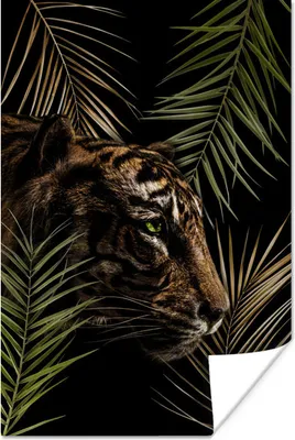 Produktbild von MuchoWow® Poster Tiger - Pflanzen - Palme 20x30 cm - Papierdruck