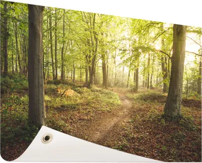 Produktbild von Gartenposter - 120x80 cm - Eine Straße durch den Wald  - Modernes Wandbilder - Natur