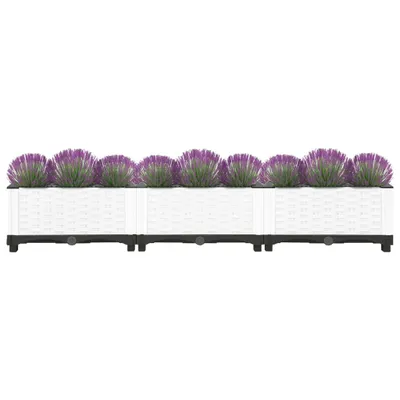 A row of three white planters filled with purple flowers and green foliage, set against a white background.