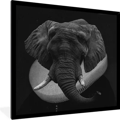 Produktbild von MuchoWow® Gerahmtes Poster Gemälde - Elefant - Schwarz - Weiß 40x40 cm - Poster mit Schwarzem Bilderrahmen Wandposter Rahmen Foto Bilder - Mit Rahmen - Wanddekoration Schlafzimmer