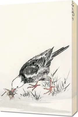 Image de Image 40 x 60 cm Bulbul, Kashu japonais vintage pour le salon