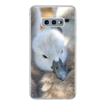 Produktbild von MuchoWow® Handyhülle Schutzhülle Hülle für Samsung Galaxy S10e Schwäne - Licht - Küken Silikon Softcase Handy Hülle - Handy