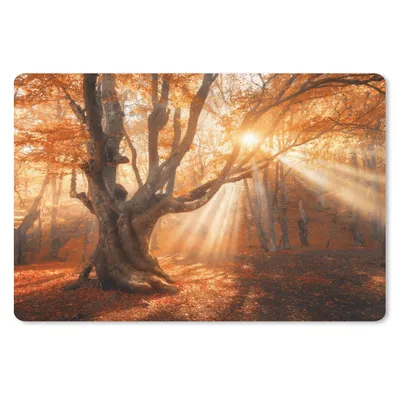 Produktbild von MuchoWow® Schreibtischunterlage Baum - Natur - Herbst 60x40 cm - XXL Mauspad - Großes Mauspad
