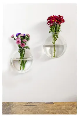 Produktbild von Dahlia Wandvasen für Pflanzen 2er Set | Blumentopf für die Wand Hänge-Blumentopf in runder Form | Wall Planter | Glas Propagation Station Hängend | Geschenk zum Muttertag, Geburtstag