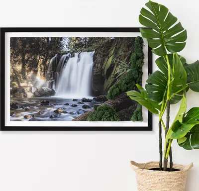 Produktbild von Moosbild mit Echtem Isländisch Moos - 60x40 cm - Schwarzer MDF-Rahmen - Von Bäumen umgebener Wasserfall