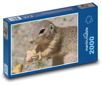 Obrázok produktu pre Puzzle 2000 Sysel na lúke - martinpuzzle