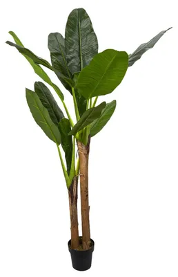 Zdjęcie produktu dla Sztuczna roślina Bananowiec 160cm