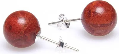 Ohrstecker-aus-Schaumkoralle