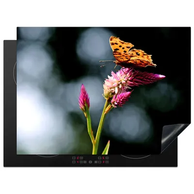 Produktbild von KitchenYeah© Herdabdeckplatte Schmetterling - Blumen - Insekten , 70x52cm, Küche Deko, Glaskeramikkochfeld Herdabdeckung, Abdeckplatte fùr Kochfeld