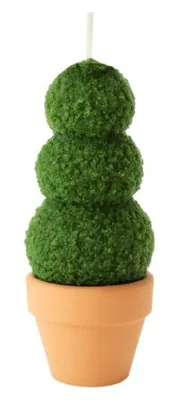 Productafbeelding van Kaars Buxus In Pot 6 X 13 Cm