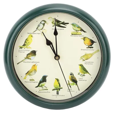 Wanduhr 10 Zoll, nicht tickend, Vogelrufe, Weihnachtsmusik, Grün