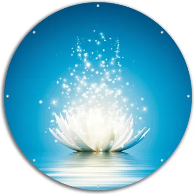 Produktbild von Wallario rundes Outdoor-Poster für Garten oder Balkon, Motiv Lotosblüte auf Wasser, 60 cm Durchmesser