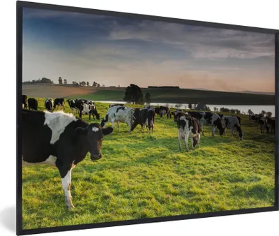 Produktbild von MuchoWow® MuchoWow® Gerahmtes Poster Kuh - Gras - Sonnenuntergang 60x40 cm - Poster mit zchwarzem Bilderrahmen - Printing - Wanddeko Schlafzimmer
