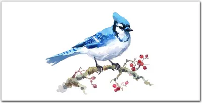Produktbild von Coloray Küchenrückwand 120x60 Spritzschutz aus Glas - Meeresfrüchte Tier Vogel
