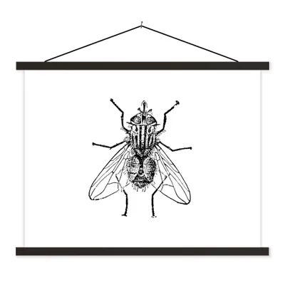 Produktbild von MuchoWow® Textilposter Fliege - Tiere - Vintage - Schwarz und weiß 40x30 cm mit schwarzem Rahmen - Dekorationen