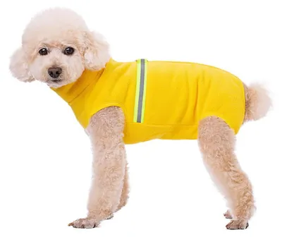 Immagine prodotto di Maglione per cani in pile giallo con elementi riflettenti, taglia XL