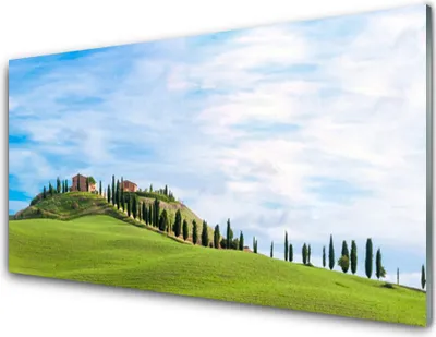 Produktbild von Acrylglasbilder 100x50 Wandbild Druck Wiese Bäume Landschaft