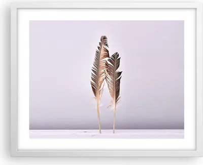 Produktbild von Gerahmtes Poster - Weißer Rahmen - Zwei Federn Flieder - 50x40 cm - Wand Bild - Wanddeko - Wandbilder - Kunstposter - Wandposter - Bilderrahmen - Bilder - Kunstdruck - Wandbild - P2WAA50x40-4335