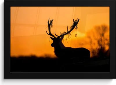 Produktbild von MuchoWow® MuchoWow® Gerahmtes Poster Hirsch - Orange - Scherenschnitt - Tiere - Natur 30x20 cm - Poster mit zchwarzem Bilderrahmen - Kunstdruck - Bild-Poster