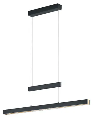 Image de Lampe LED suspendue TRAJAN noir Trio 375310502