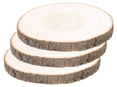 Holzscheiben, 3 Stk., 18-20 cm, unbehandelt, für DIY-Basteln