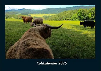 Produktbild von Kuhkalender 2025 Fotokalender DIN A4