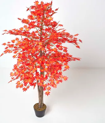 Produktbild von HOMESCAPES Kunstbaum Rot/Orange 'Ahornbaum', 160 cm