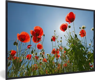 Produktbild von MuchoWow® Gerahmtes Poster Helle Sonne über einigen Mohnblumen in Spanien 60x40 cm - Poster mit Schwarzem Bilderrahmen Wandposter Rahmen Foto Bilder - Printing - Wanddeko Schlafzimmer