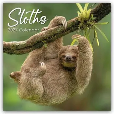 Produktbild von Sloths - Faultiere 2027 - 16-Monatskalender