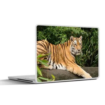 Produktbild von MuchoWow® Laptop Aufkleber Sticker Cover Tiger - Baum - Blätter 40x30 cm - Laptop Dekoration - Selbstklebend