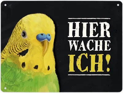 Produktbild von Hier wache ich! Metallschild XL mit Wellensittich grün Motiv Schild