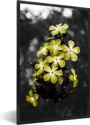 Produktbild von MuchoWow® MuchoWow® Gerahmtes Poster Blumen - Gelb - Farben 60x90 cm - Poster mit zchwarzem Bilderrahmen - Kunst