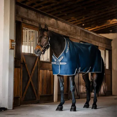 Image de Horseware Rambo Airmax Cooler - Taille 145 - Bleu